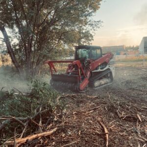 Apleistų sklypų, sodybų, parkų, miško ir kitų teritorijų valymas-2 https://neposervisas.lt/wp-content/uploads/2025/06/Apleistu-sklypu-sodybu-parku-misko-ir-kitu-teritoriju-valymas-2-300x300.jpg
